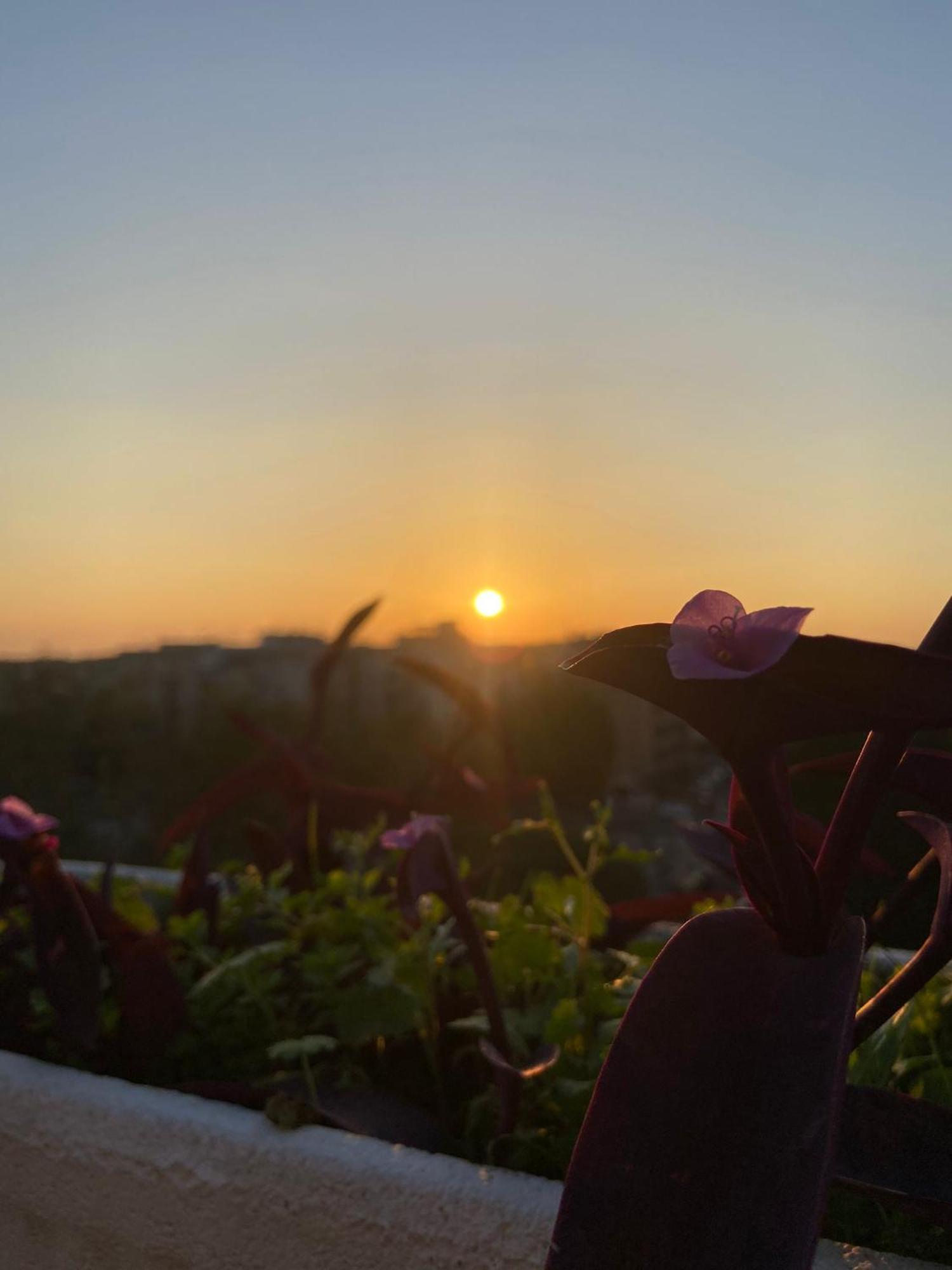 Attico Panoramico Gardenie Apartment